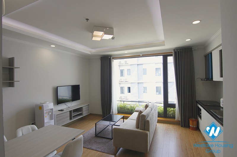 Bright 1-bedroom apartment on Kim Ma Str.
